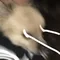 carousel chooser